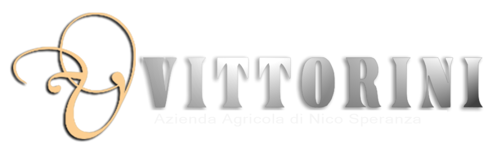 Logo vittorini def